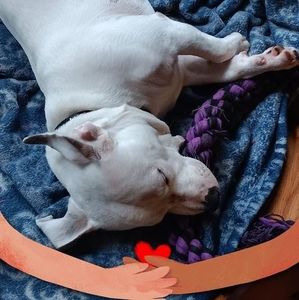 Meet your Posher, Rita